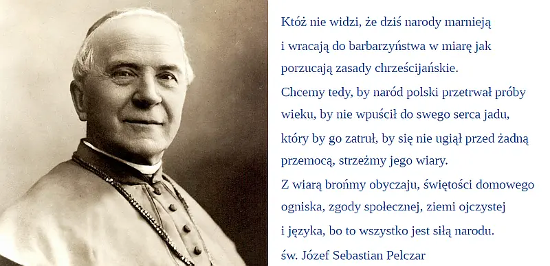 Obudź się Polsko (3)